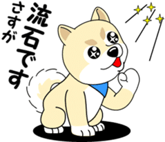 Mameshiba cut Pomeranian [honorific ed] sticker #8808728