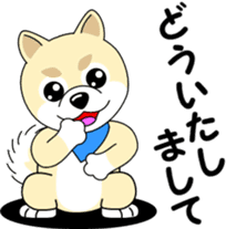 Mameshiba cut Pomeranian [honorific ed] sticker #8808729