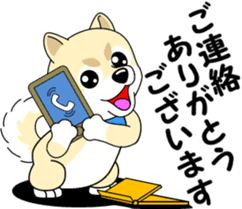 Mameshiba cut Pomeranian [honorific ed] sticker #8808733