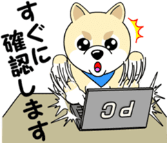 Mameshiba cut Pomeranian [honorific ed] sticker #8808734