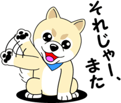 Mameshiba cut Pomeranian [honorific ed] sticker #8808737