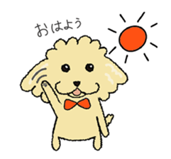 Daily life of the toy poodle named Puuko sticker #8810138