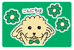Daily life of the toy poodle named Puuko sticker #8810139