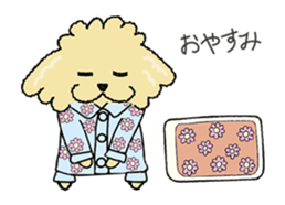 Daily life of the toy poodle named Puuko sticker #8810140