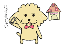 Daily life of the toy poodle named Puuko sticker #8810146