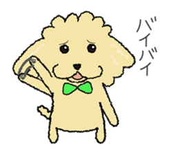 Daily life of the toy poodle named Puuko sticker #8810147