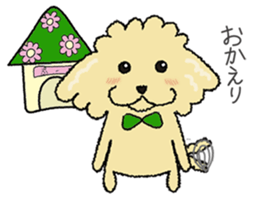 Daily life of the toy poodle named Puuko sticker #8810148