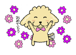 Daily life of the toy poodle named Puuko sticker #8810149