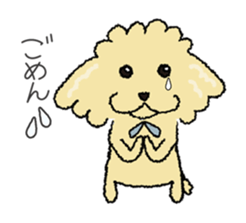 Daily life of the toy poodle named Puuko sticker #8810150
