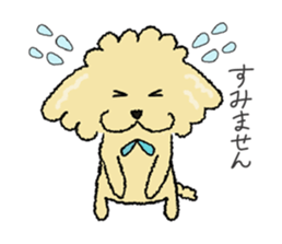 Daily life of the toy poodle named Puuko sticker #8810151