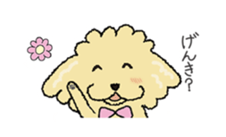 Daily life of the toy poodle named Puuko sticker #8810152