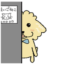 Daily life of the toy poodle named Puuko sticker #8810153