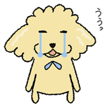 Daily life of the toy poodle named Puuko sticker #8810154