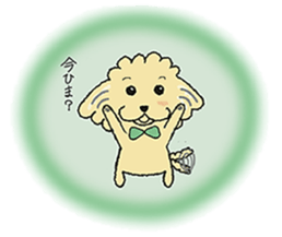 Daily life of the toy poodle named Puuko sticker #8810155