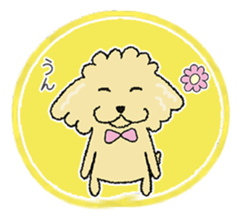 Daily life of the toy poodle named Puuko sticker #8810158