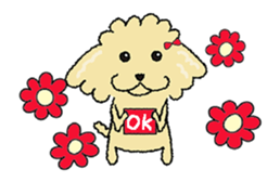 Daily life of the toy poodle named Puuko sticker #8810160