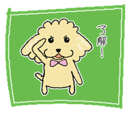 Daily life of the toy poodle named Puuko sticker #8810163