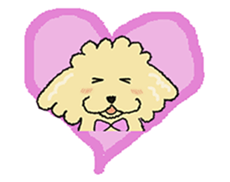 Daily life of the toy poodle named Puuko sticker #8810167