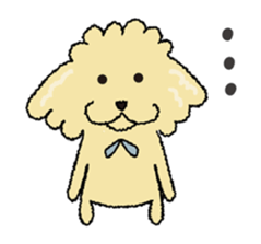 Daily life of the toy poodle named Puuko sticker #8810168