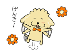 Daily life of the toy poodle named Puuko sticker #8810170
