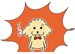 Daily life of the toy poodle named Puuko sticker #8810175