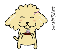 Daily life of the toy poodle named Puuko sticker #8810177