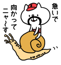 The Belly Band Cap Cat sticker #8810678