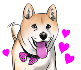 Kohacahannel sticker #8811738