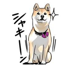 Kohacahannel sticker #8811739