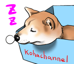 Kohacahannel sticker #8811740