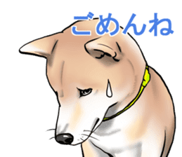 Kohacahannel sticker #8811741