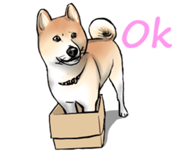 Kohacahannel sticker #8811744