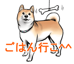 Kohacahannel sticker #8811746