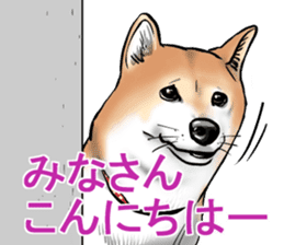 Kohacahannel sticker #8811747