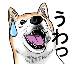 Kohacahannel sticker #8811751