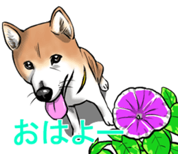 Kohacahannel sticker #8811754