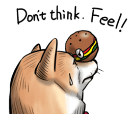 Kohacahannel sticker #8811757