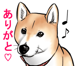 Kohacahannel sticker #8811760