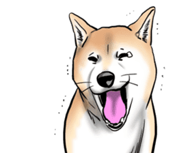 Kohacahannel sticker #8811761