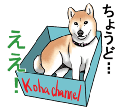 Kohacahannel sticker #8811762