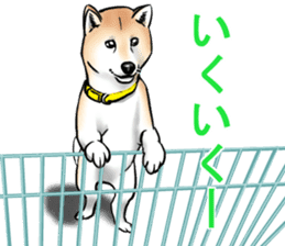 Kohacahannel sticker #8811763