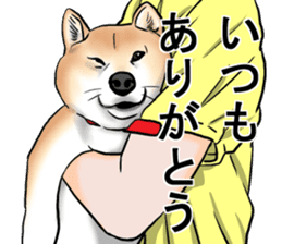 Kohacahannel sticker #8811764