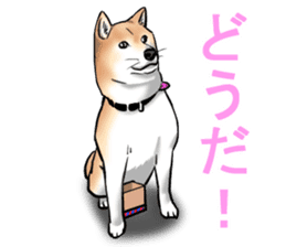 Kohacahannel sticker #8811765