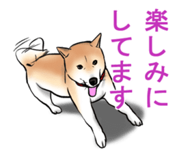 Kohacahannel sticker #8811766