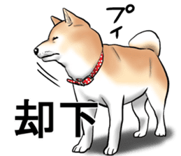 Kohacahannel sticker #8811768