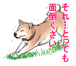 Kohacahannel sticker #8811771