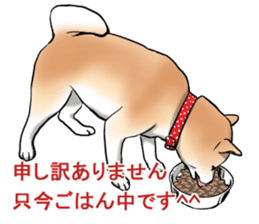 Kohacahannel sticker #8811772