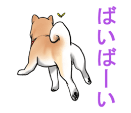 Kohacahannel sticker #8811773