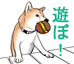 Kohacahannel sticker #8811774