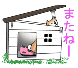 Kohacahannel sticker #8811777